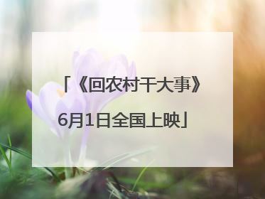 《回农村干大事》6月1日全国上映