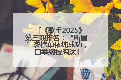 《歌手2025》第三期排名：“断眉”袭榜单依纯成功，白举纲被淘汰