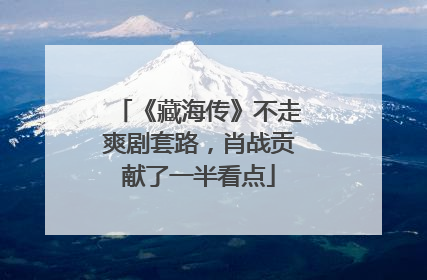 《藏海传》不走爽剧套路，肖战贡献了一半看点