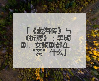 《藏海传》与《折腰》：男频剧、女频剧都在“爱”什么