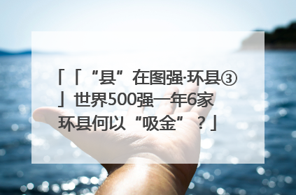 「“县”在图强·环县③」世界500强一年6家 环县何以“吸金”？