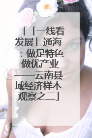 「一线看发展」通海：做足特色 做优产业——云南县域经济样本观察之二