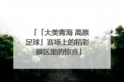 「大美青海 高原足球」赛场上的精彩 展区里的惊喜