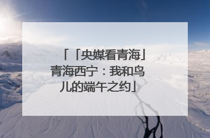 「央媒看青海」青海西宁：我和鸟儿的端午之约