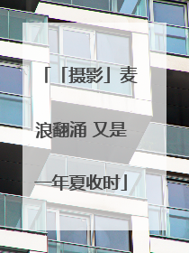 「摄影」麦浪翻涌 又是一年夏收时