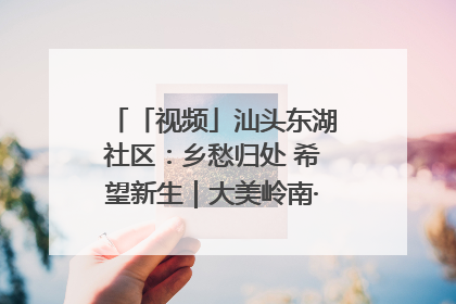 「视频」汕头东湖社区：乡愁归处 希望新生｜大美岭南·百村焕新记