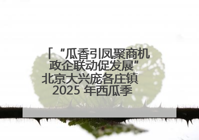 “瓜香引凤聚商机 政企联动促发展”北京大兴庞各庄镇 2025 年西瓜季政企联动产业推介活动圆满举行