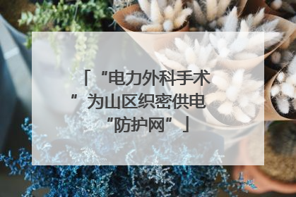 “电力外科手术”为山区织密供电“防护网”