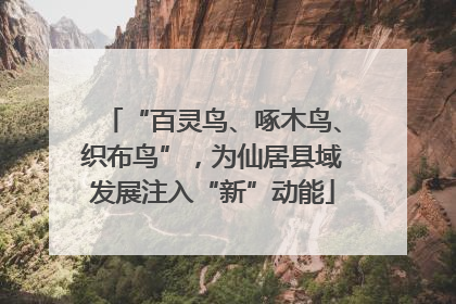 “百灵鸟、啄木鸟、织布鸟”，为仙居县域发展注入“新”动能