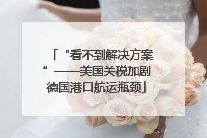 “看不到解决方案”——美国关税加剧德国港口航运瓶颈