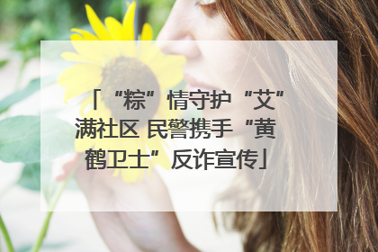 “粽”情守护“艾”满社区 民警携手“黄鹤卫士”反诈宣传