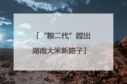 “粮二代”蹚出湖南大米新路子