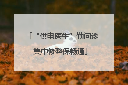 “供电医生”勤问诊 集中修整保畅通