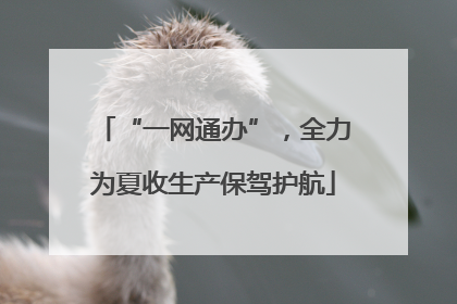 “一网通办”，全力为夏收生产保驾护航