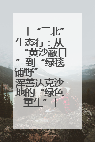 “三北”生态行：从“黄沙蔽日”到“绿毯铺野”——浑善达克沙地的“绿色重生”