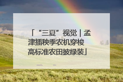 “三夏”视觉｜孟津插秧季农机穿梭 高标准农田披绿装