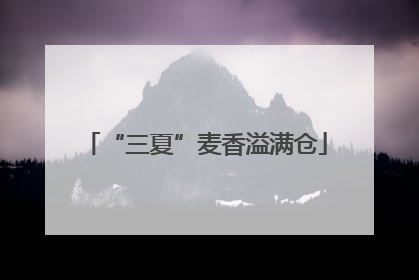 “三夏”麦香溢满仓