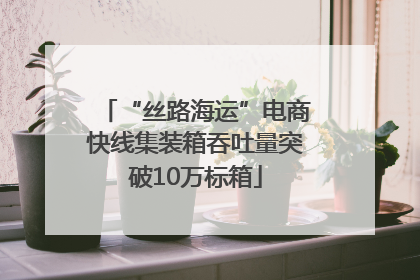 “丝路海运”电商快线集装箱吞吐量突破10万标箱