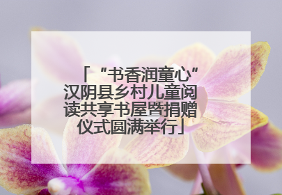 “书香润童心”汉阴县乡村儿童阅读共享书屋暨捐赠仪式圆满举行