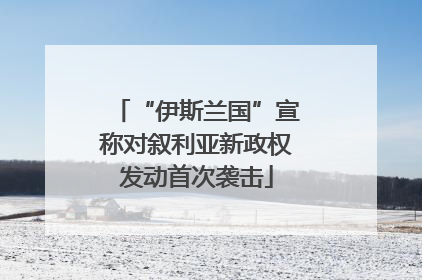 “伊斯兰国”宣称对叙利亚新政权发动首次袭击