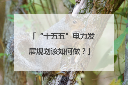 “十五五”电力发展规划该如何做？