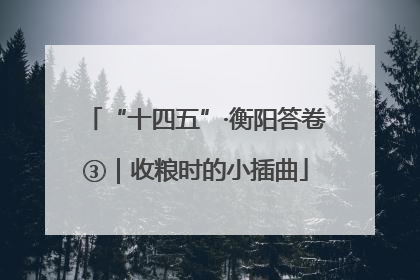 “十四五”·衡阳答卷③｜收粮时的小插曲