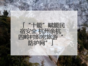 “十能”赋能民宿安全 杭州余杭四岭村织密旅游“防护网”