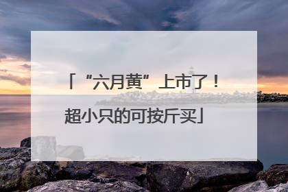 “六月黄”上市了！超小只的可按斤买