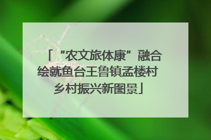 “农文旅体康”融合绘就鱼台王鲁镇孟楼村乡村振兴新图景
