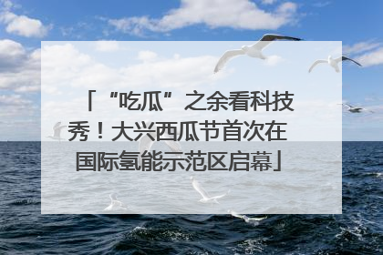 “吃瓜”之余看科技秀！大兴西瓜节首次在国际氢能示范区启幕