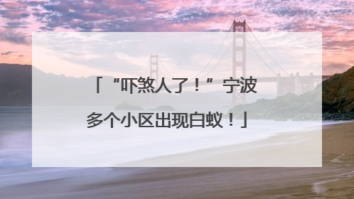 “吓煞人了！”宁波多个小区出现白蚁！