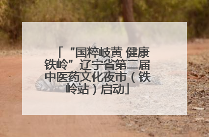 “国粹岐黄 健康铁岭”辽宁省第二届中医药文化夜市（铁岭站）启动