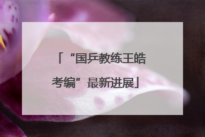 “国乒教练王皓考编”最新进展