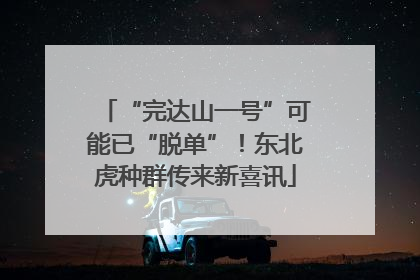 “完达山一号”可能已“脱单”！东北虎种群传来新喜讯