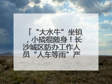 “大水牛”坐镇，小撬棍随身！长沙城区防办工作人员“人车等雨”严阵以待
