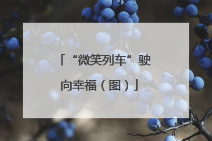 “微笑列车”驶向幸福（图）