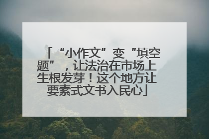 “小作文”变“填空题”，让法治在市场上生根发芽！这个地方让要素式文书入民心