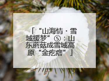 “山海情・雪域援梦”⑤：山东蘑菇成雪域高原“金疙瘩”