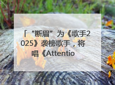 “断眉”为《歌手2025》袭榜歌手，将唱《Attention》和《See You Again》