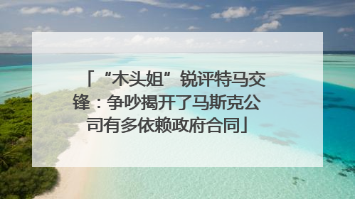 “木头姐”锐评特马交锋：争吵揭开了马斯克公司有多依赖政府合同