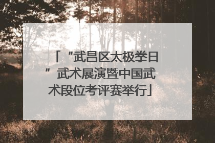 “武昌区太极拳日”武术展演暨中国武术段位考评赛举行