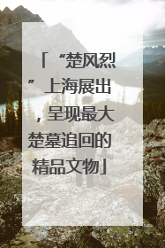 “楚风烈”上海展出，呈现最大楚墓追回的精品文物