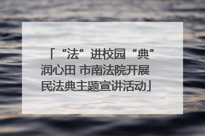 “法”进校园“典”润心田 市南法院开展民法典主题宣讲活动