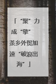 “聚”力成“擎” 茶乡外贸加速“破浪出海”