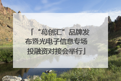 “葛创汇”品牌发布暨光电子信息专场投融资对接会举行