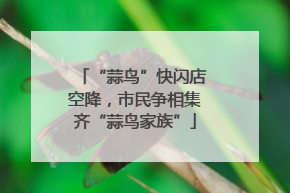 “蒜鸟”快闪店空降，市民争相集齐“蒜鸟家族”