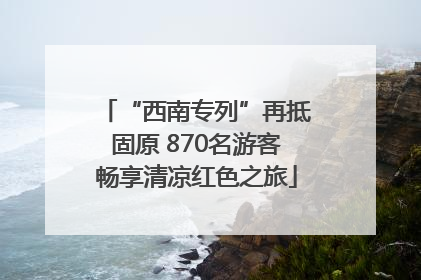 “西南专列”再抵固原 870名游客畅享清凉红色之旅