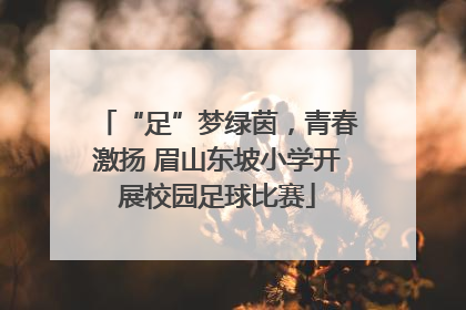“足”梦绿茵，青春激扬 眉山东坡小学开展校园足球比赛