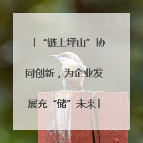 “链上坪山”协同创新，为企业发展充“储”未来