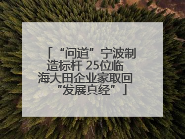 “问道”宁波制造标杆 25位临海大田企业家取回“发展真经”